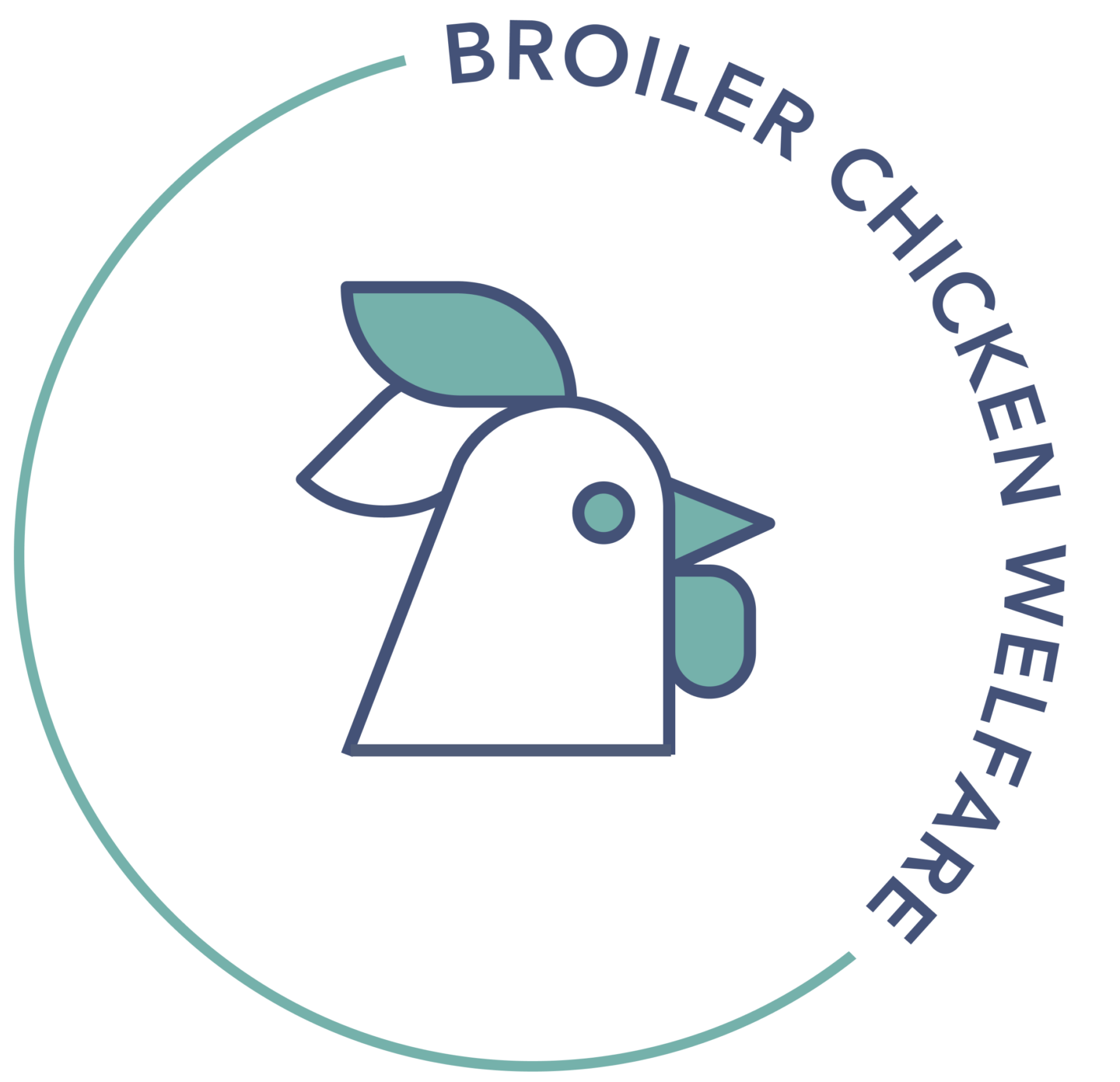 broiler-chicken-welfare-open-philanthropy